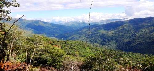 Tarapoto, Cordillera Escalera